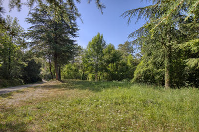 Terrain - 3 800 m²
