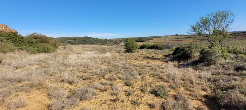 Terrain agricole - 4 870 m²