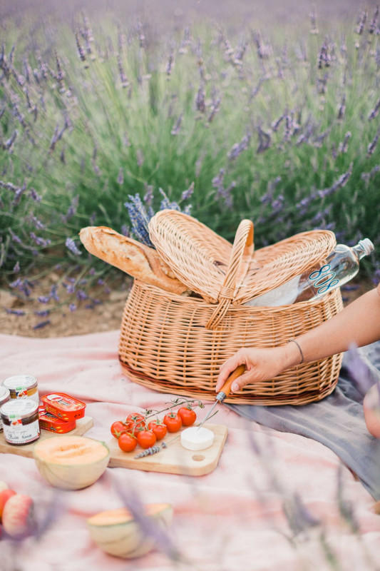 Visite des champs de lavande à Terre Ugo