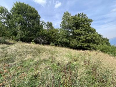 Terrain - 811 m²