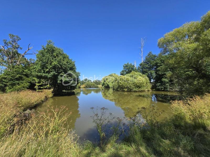 Terrain de loisirs - 45 907 m²