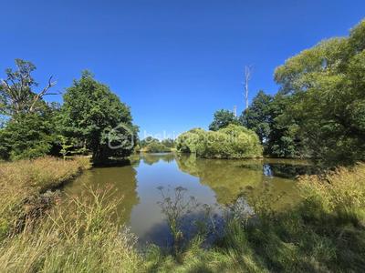 Terrain de loisirs - 45 907 m²