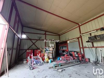 Local commercial - 702 m²