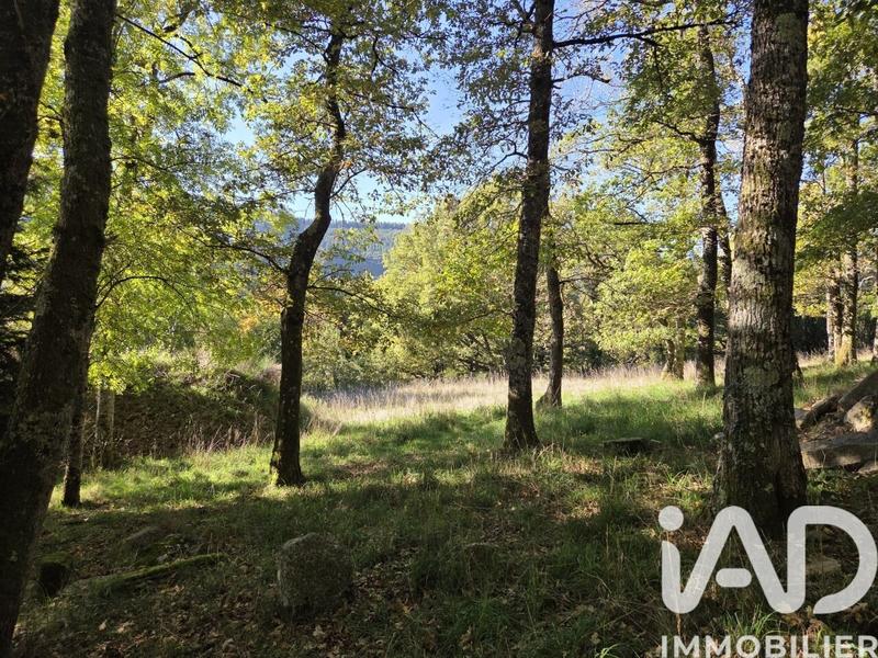 Maison - 130 m² - 4 pièces