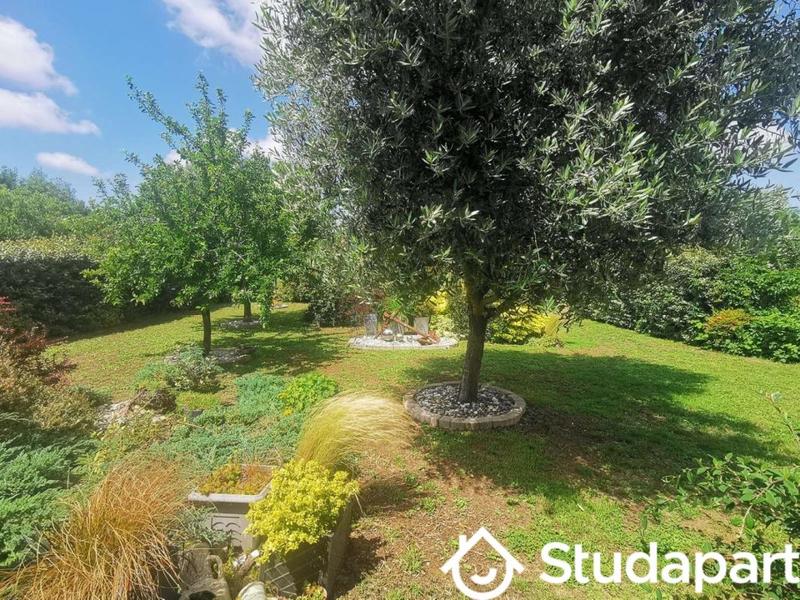 Chambre - 11 m² - 1 pièce