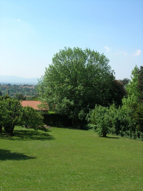 Terrain - 1 231 m²