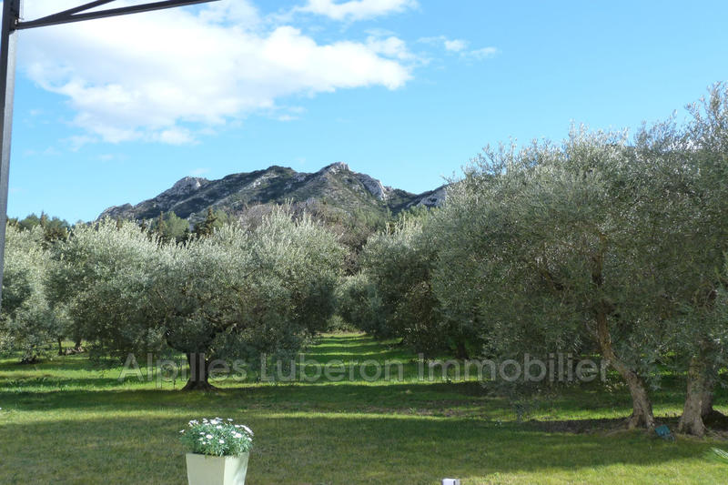 Demeure - 275 m² - 8 pièces