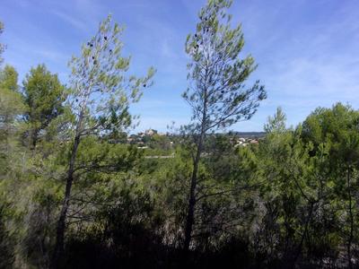 Terrain de loisirs - 2 180 m²