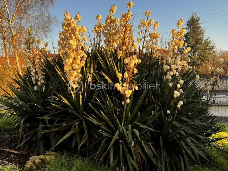 Maison - 113 m² - 5 pièces