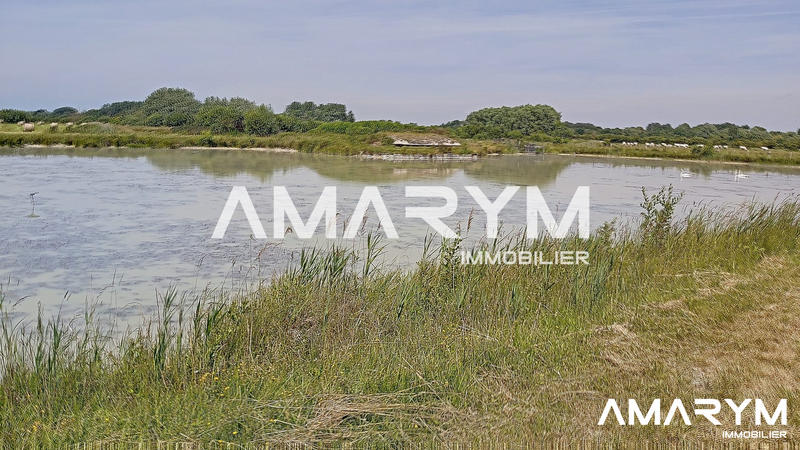 Terrain agricole - 7 245 m²