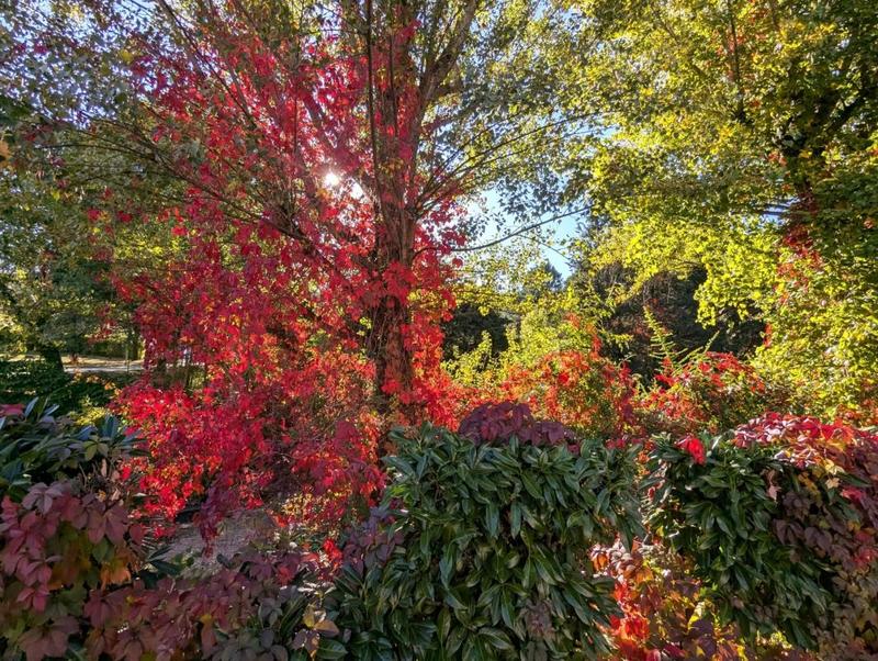 Studio - 16 m² - 1 pièce