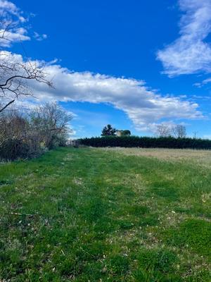 Terrain - 36 155 m²