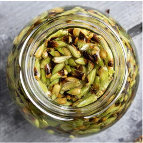 Atelier - Gemmothérapie