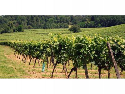 Terrain - 67 943 m²