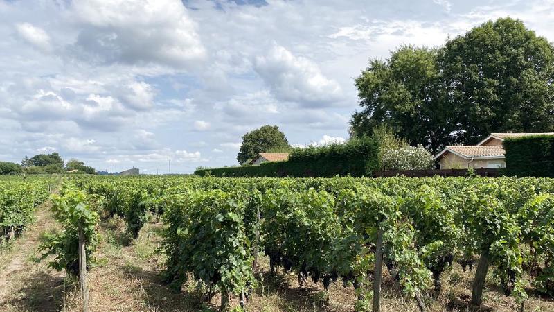 Terrain - 25 000 m²