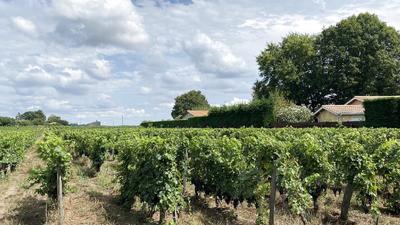 Terrain - 25 000 m²