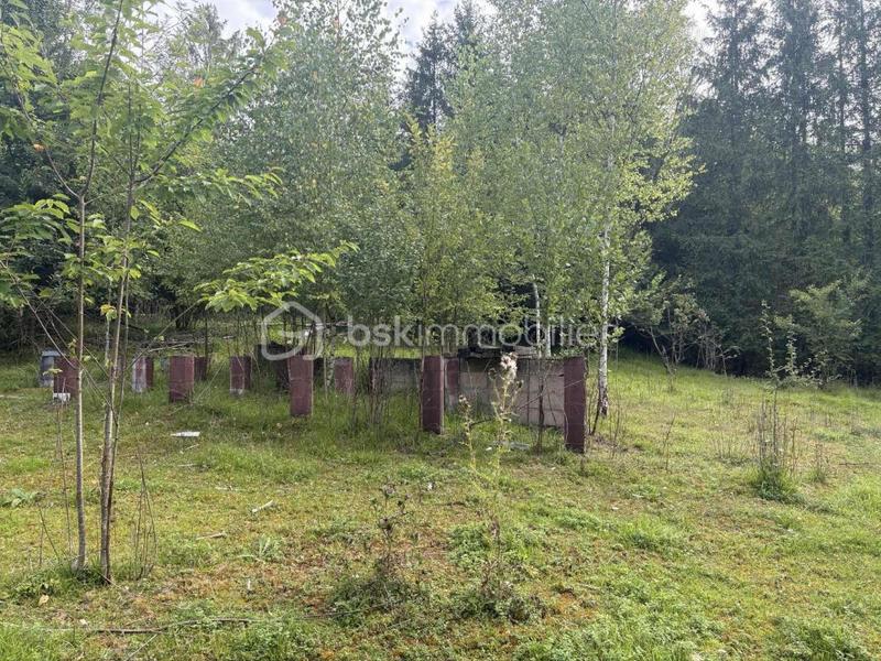 Terrain de loisirs - 4 620 m²