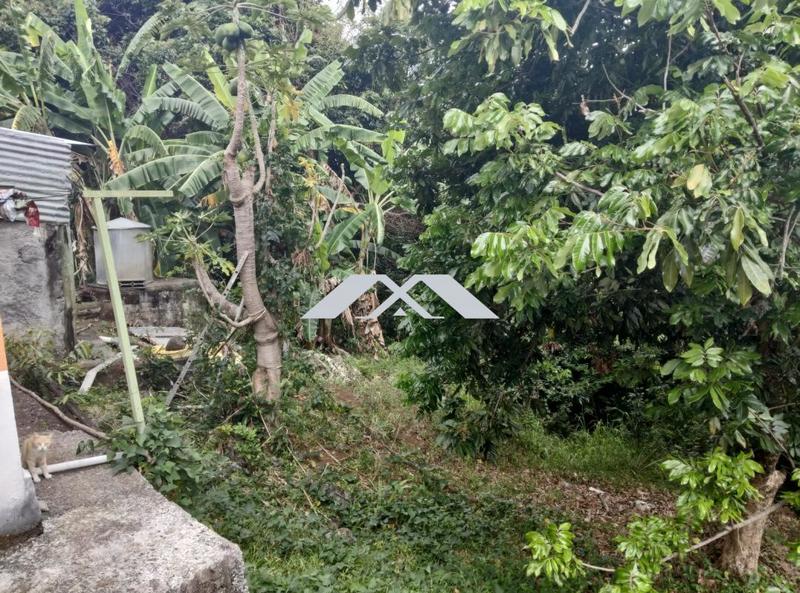 Maison - 67 m² - 3 pièces