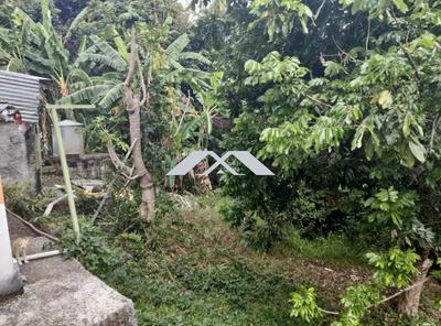 Maison - 67 m² - 3 pièces