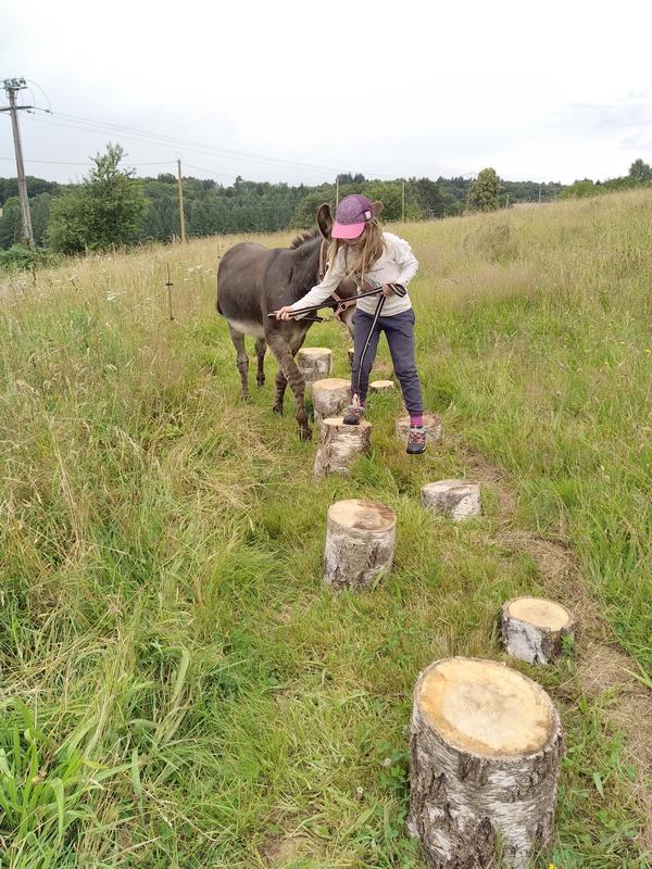 L'Âne Belle Aventure