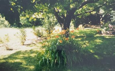 Villa - 116 m² - 4 pièces