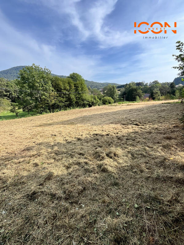 Terrain - 1 000 m²