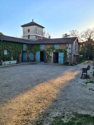 Fonds de commerce - Magasins - 62 459 m²