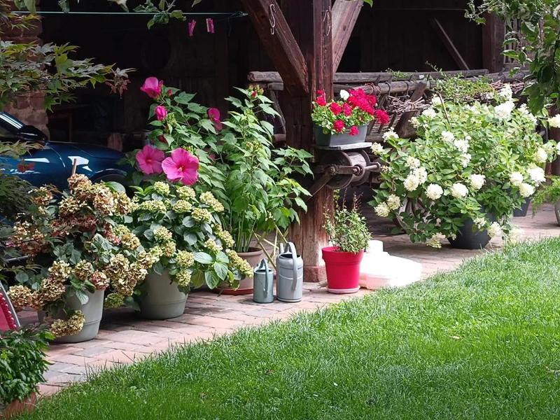 Corps de ferme - 243 m² - 6 pièces