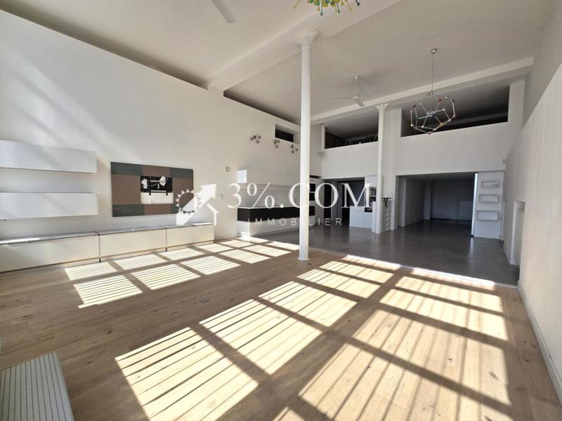 Loft - 170 m² - 5 pièces