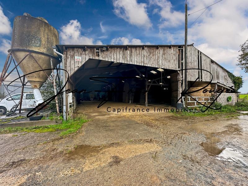 Maison - 243 m² - 10 pièces