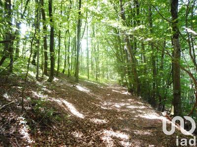 Terrain - 20 445 m²