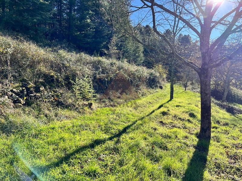 Maison provençale - 140 m² - 7 pièces