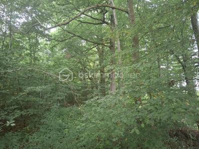 Terrain de loisirs - 37 590 m²