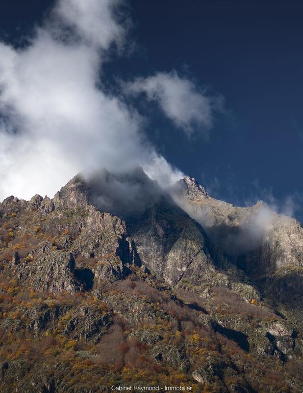 Local commercial - 141 m² - 5 pièces