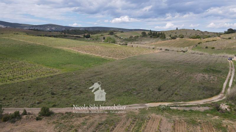 Terrain agricole - 10 460 m²