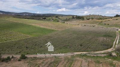 Terrain agricole - 10 460 m²