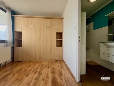 Studio - 33 m² - 1 pièce