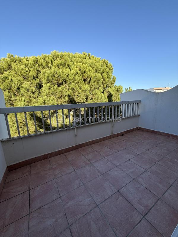 Studio - 24 m² - 1 pièce