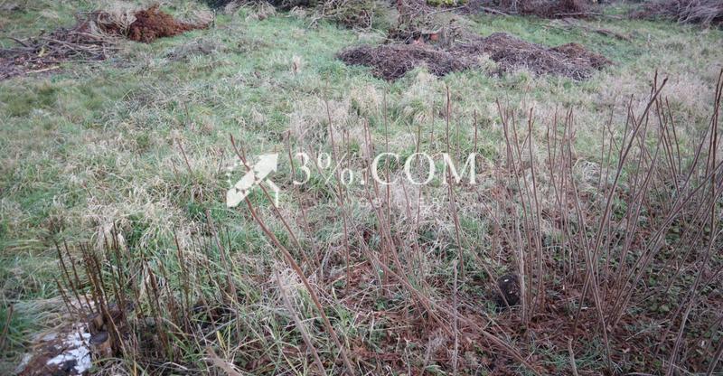 Terrain constructible - 519 m²