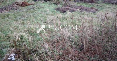 Terrain constructible - 519 m²