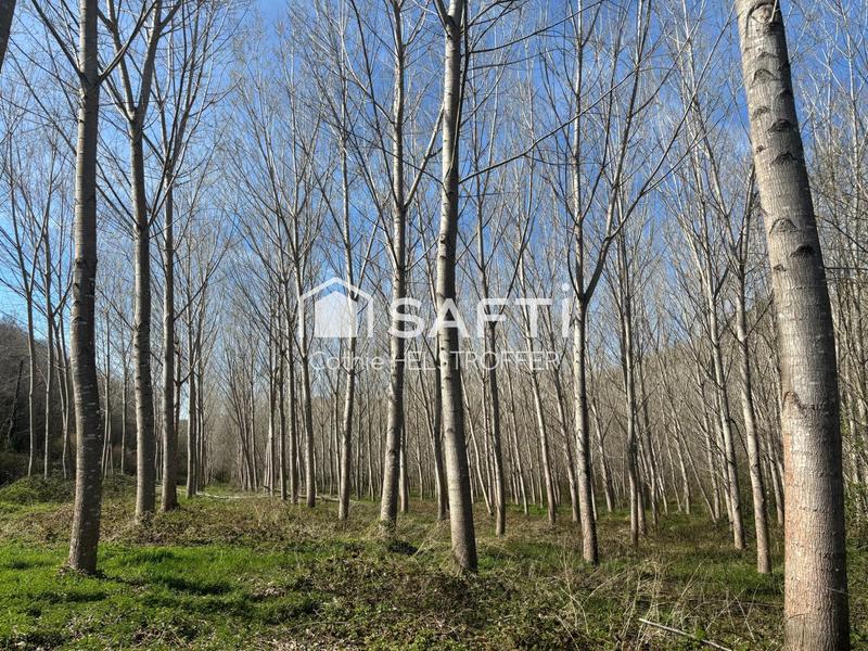 Terrain agricole - 31 186 m²