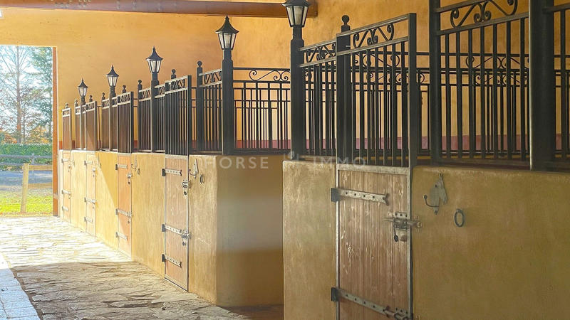 Mas - 300 m² - 9 pièces