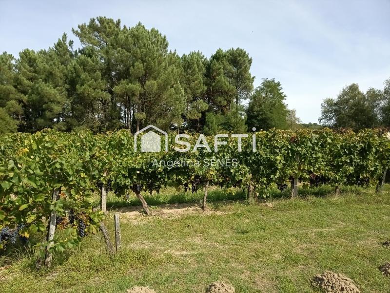 Maison - 700 m² - 6 pièces