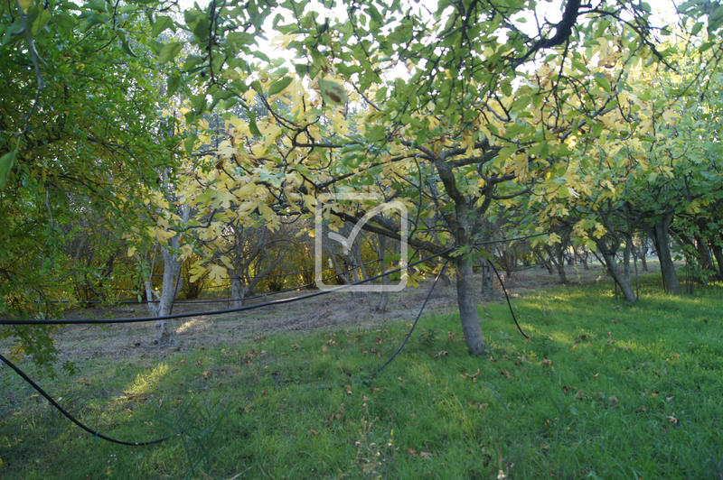 Terrain agricole - 5 359 m²