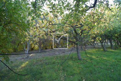 Terrain agricole - 5 359 m²