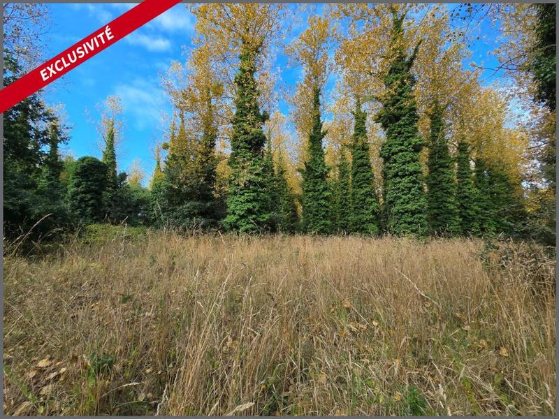 Maison - 116 m² - 3 pièces