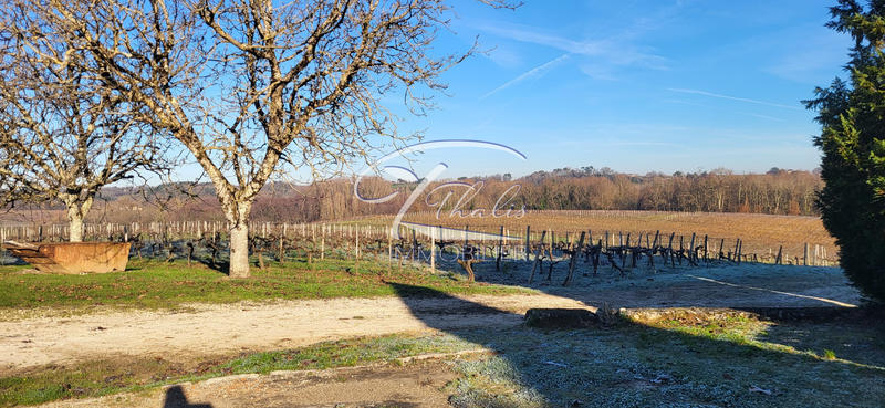 Maison ancienne - 260 m² - 10 pièces