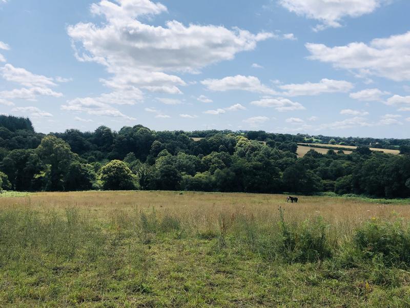 Maison ancienne - 123 m² - 5 pièces