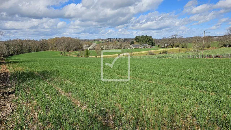 Terrain - 10 495 m²