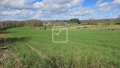 Terrain - 10 495 m²